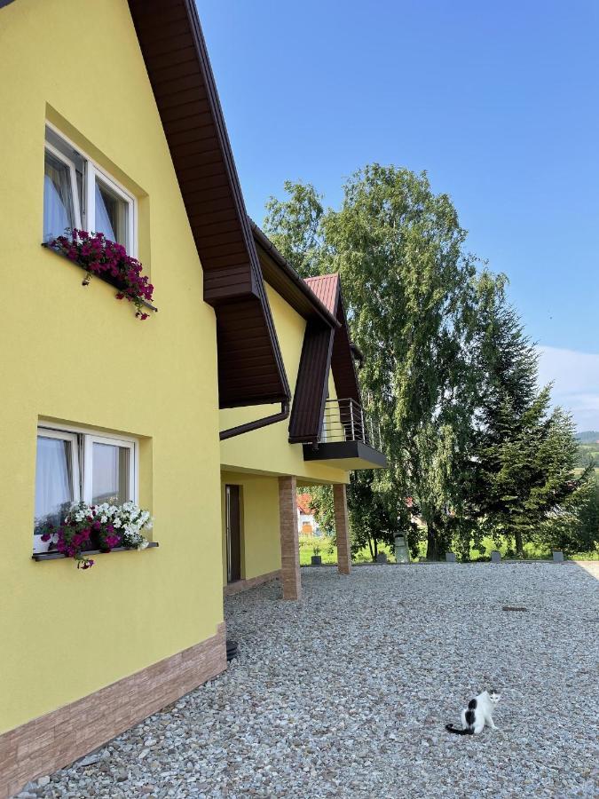 Pokoje Pod Brzozka Debno  Exterior foto